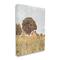 Stupell Industries Countryside Farm Meadow Tall Grass Summer Landscape Photography Canvas Wall Art